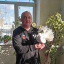 ���� ������, ������������, 56 ��� - ��������� 18 ����� 2018 � ������ ���� ����������