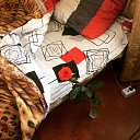 ���� �����, �������������, 40 ��� - ��������� 1 ������� 2017 � ������ ������ ��������