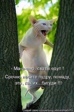 )))