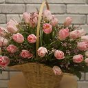 ���� Sofia, ����� - ��������� 10 ����� 2018 � ������ ������ ��������