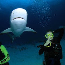 Kate, ������, 31 ���