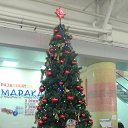 ���� ������, �������, 40 ��� - ��������� 30 ������ 2018 � ������ ���� ����������