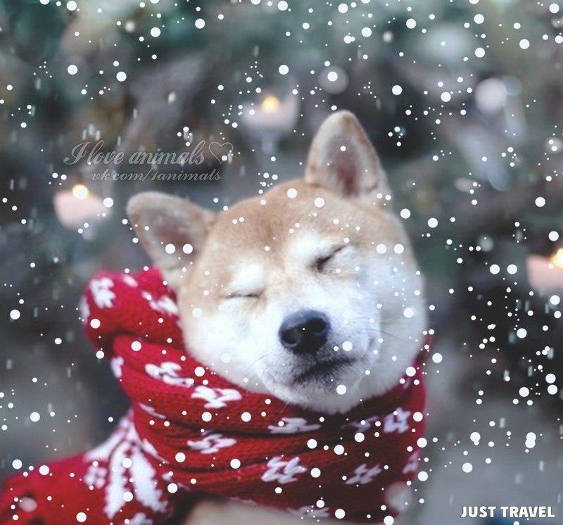 Allworld |    - 5  2018  16:34 - 5