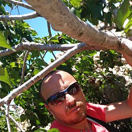 Alex, ����, 48 ���