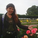 ���� ������, �����-���������, 57 ��� - ��������� 7 ����� 2019