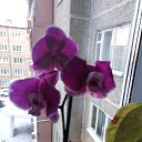 ���� �������, ������� �����, 50 ��� - ��������� 30 ������� 2018 � ������ ���� ����������