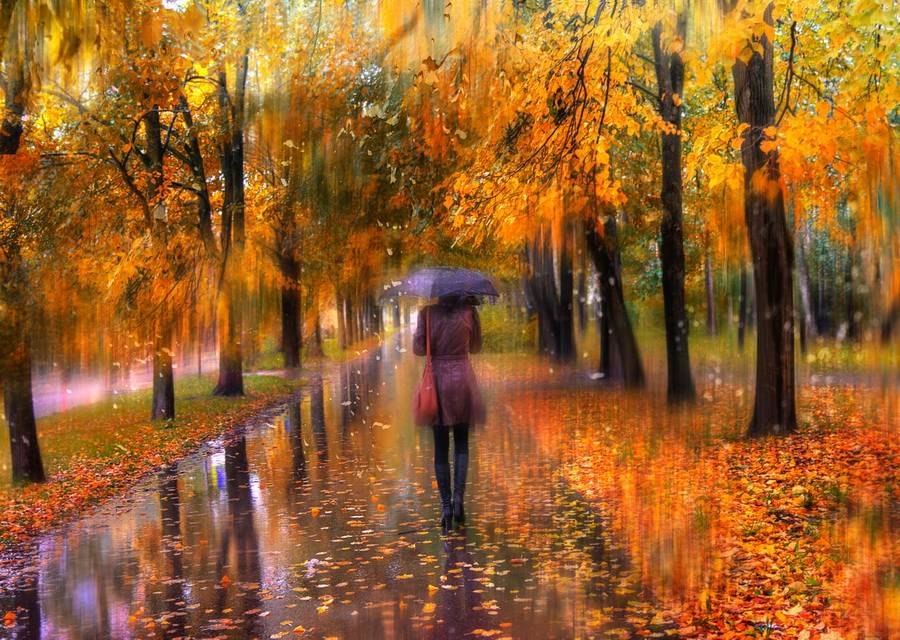 По аллеям парка бродит осень. Золотой листвы шуршит ковер. Ни о чём ушедший день не просит... Не ...