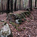  , , 61  -  22  2018    2018