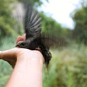 ���� ����, �������, 59 ��� - ��������� 25 ������ 2018 � ������ ������ ��������