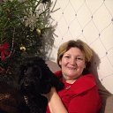 ���� ������, �����-���������, 57 ��� - ��������� 29 ������ 2019 � ������ ���� ����������