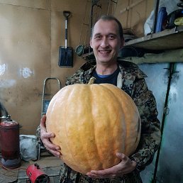 �����, �����, 42 ����