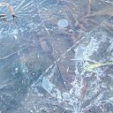 ���� �����, ��������, 37 ��� - ��������� 31 ������� 2018 � ������ ���� ����������