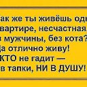 ���� ��������, �����, 51 ��� - ��������� 7 ������ 2019 � ������ ������ ��������