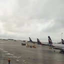 ���� ��������, �������, 38 ��� - ��������� 6 ������ 2019 � ������ ���� ����������