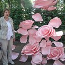 ���� ������, �����-���������, 64 ���� - ��������� 22 ����� 2019 � ������ ���� ���� ������