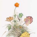 ���� Nick, �����������, 50 ��� - ��������� 28 ������� 2019 � ������ ������ ��������