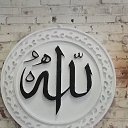 ���� ����, ������, 42 ���� - ��������� 16 ������ 2018 � ������ ���� ����������