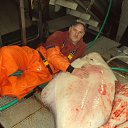 ���� Andrey, �����������, 51 ��� - ��������� 20 ������� 2018 � ������ ���� ����������