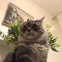 � ��� ��� ����� �� ������� �������� ��������