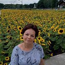 ���� �����, �������, 66 ��� - ��������� 5 ������� 2018 � ������ ���� ����������