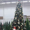 ���� ������, ����� - ��������� 17 ������� 2018 � ������ ���� ����������