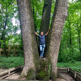 ���������, �������, 38 ���