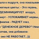 ���� Alina, �����-���������, 57 ��� - ��������� 9 ����� 2019 � ������ ������ ��������