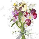 ���� �����, ������, 33 ���� - ��������� 21 ����� 2019 � ������ ������ ��������