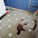 ���� ��������, ����, 52 ���� - ��������� 21 ������ 2019 � ������ ���� ����������