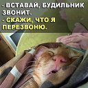 ���� �������, �����-��������� - ��������� 5 ������� 2018 � ������ ���� ����������
