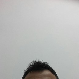 Kakhi, �����, 46 ���
