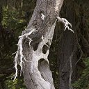  ••,  -  18  2018   - ))