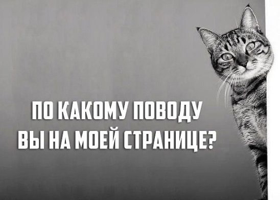 ***Victoria Viktorovna*** - 18  2019  05:53