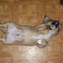   -good, , 43  -  14  2018    