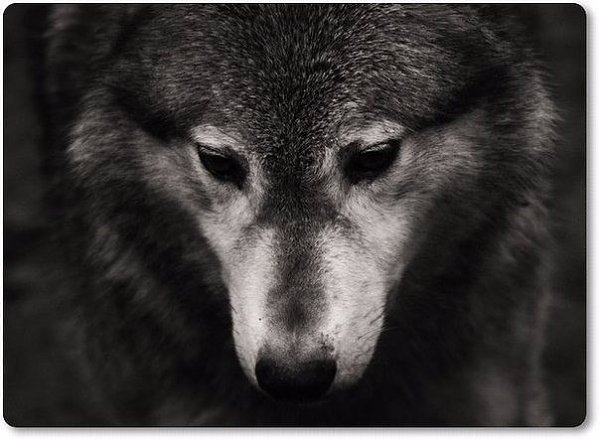 Я все смогу. Я все сумею. Переживу. Переболею. Перебьюсь. Но своего таки добьюсь.