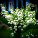 ���� �������, ��������, 48 ��� - ��������� 7 ����� 2019