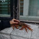 ���� �������, ���������, 51 ��� - ��������� 5 ������� 2018 � ������ ����