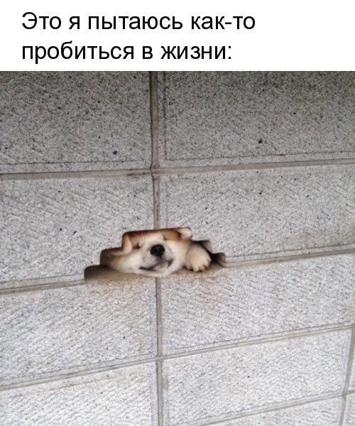   - 4  2019  16:56