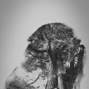 ���� �������, �������� - ��������� 20 ������� 2018 � ������ ������ ��������