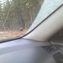 ���� �����, �����-��������, 55 ��� - ��������� 14 ������� 2018 � ������ ���� ����������