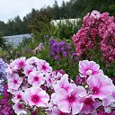 ������... �� ������� ���� ����������