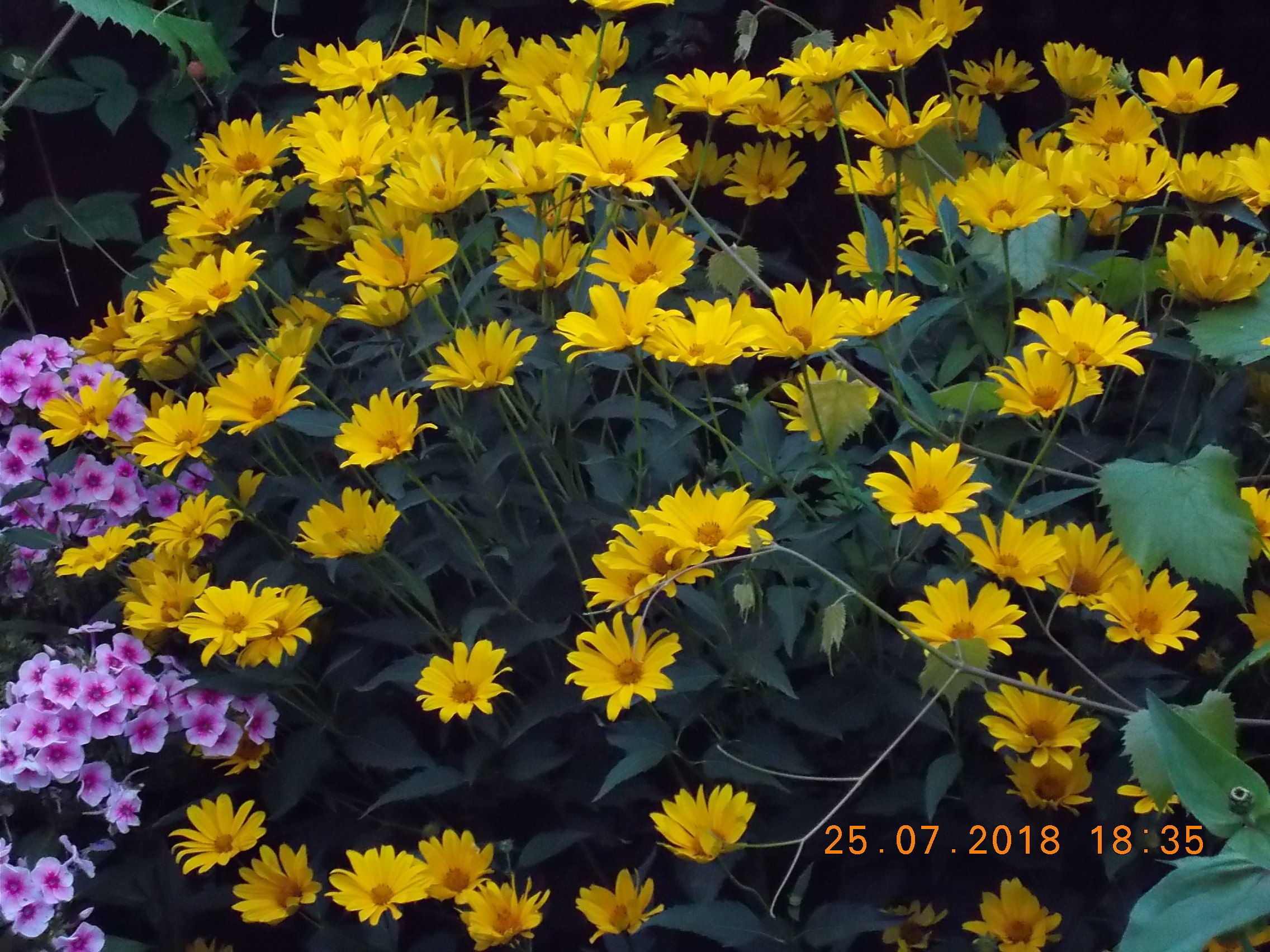   - 30  2018  17:20