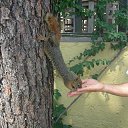 ���� ������, ������������ - ��������� 27 ����� 2019 � ������ ��������