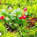 ���� U-jin, ������, 54 ���� - ��������� 23 �������� 2018 � ������ ������ ��������