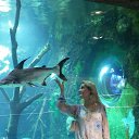 ���� Keti-moto, ������, 49 ��� - ��������� 14 ������� 2018 � ������ ������ ��������