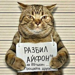  Andrey, , 53  -  17  2019