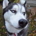 ���� < D E N >, ������, 42 ���� - ��������� 23 ����� 2019