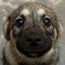 ���� ��������, ����� - ��������� 17 ������� 2018 � ������ ���� ����������