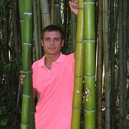 ����, ������ ��������, 42 ����