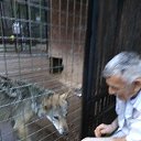 ���� ������, ��������, 65 ��� - ��������� 23 ���� 2018 � ������ ���� ����������